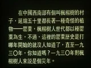 罌粟【粤语中英字】