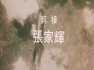 黑太陽731之死亡列車【国语中字】
